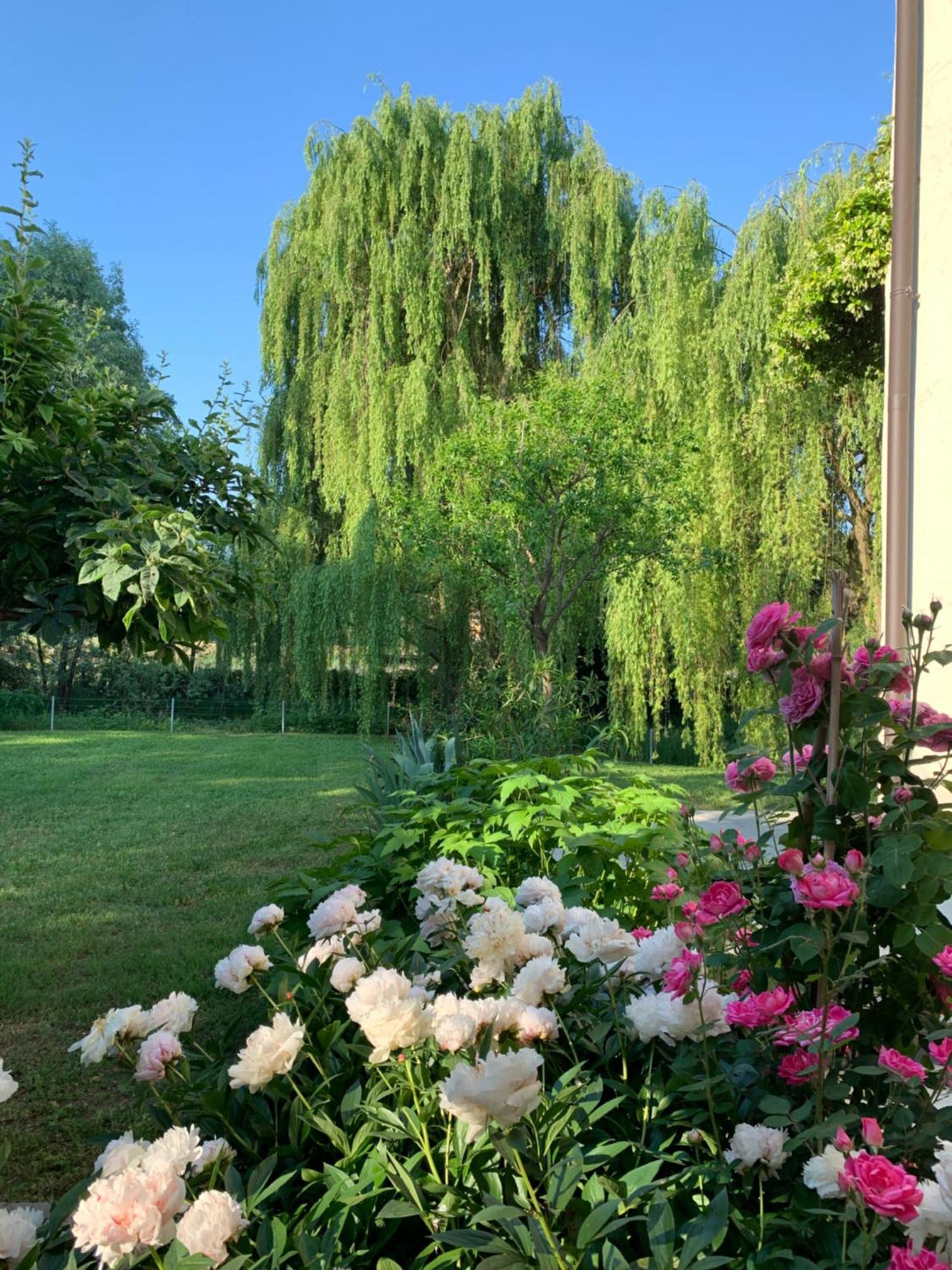 L'Isolo B&B E Case Vacanza Monzambano Buitenkant foto