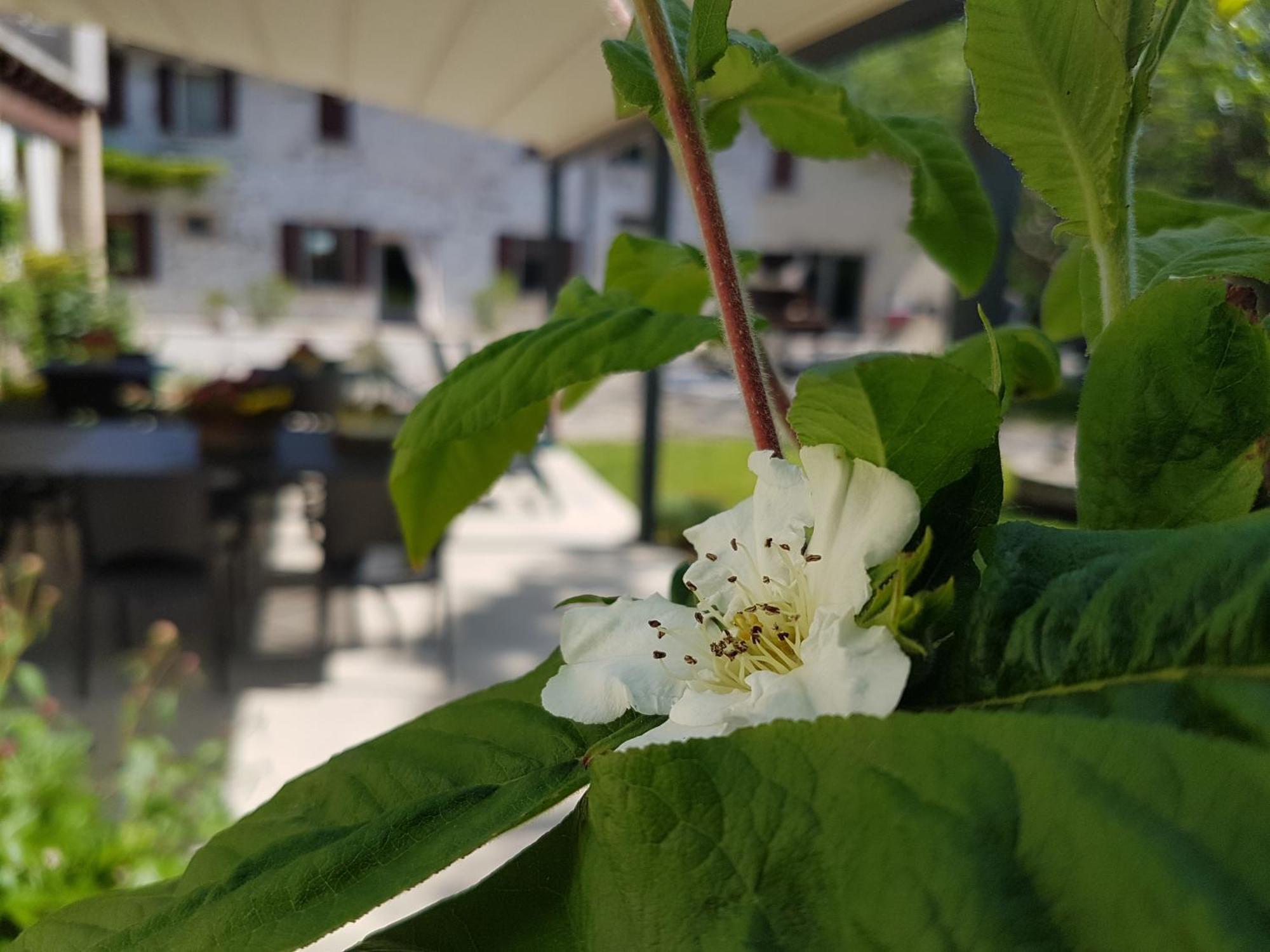 L'Isolo B&B E Case Vacanza Monzambano Buitenkant foto